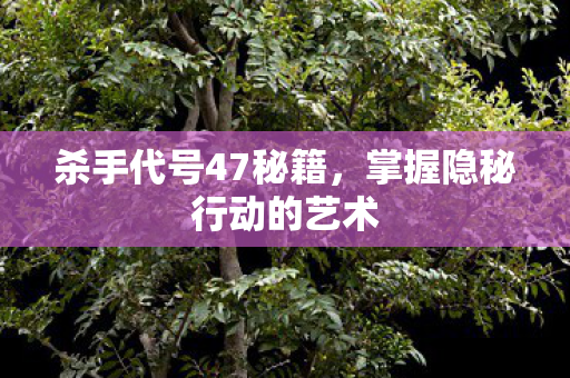 杀手代号47秘籍，掌握隐秘行动的艺术