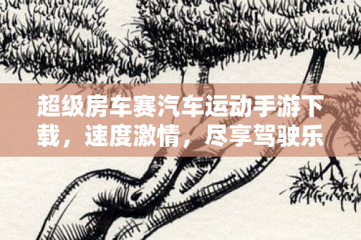 超级房车赛汽车运动手游下载，速度激情，尽享驾驶乐趣！