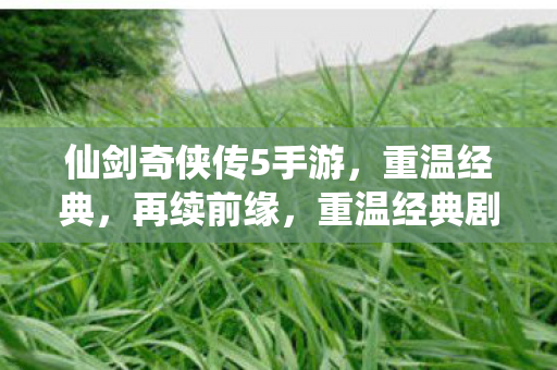 仙剑奇侠传5手游图片