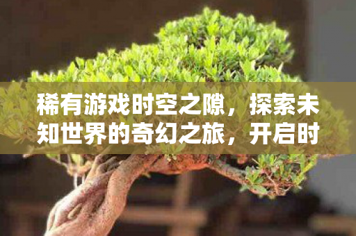 稀有游戏时空之隙，探索未知世界的奇幻之旅，开启时空之旅！