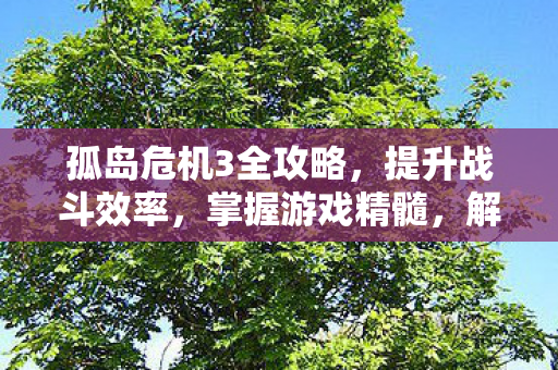 孤岛危机3全攻略，提升战斗效率，掌握游戏精髓，解锁隐藏关卡