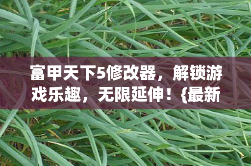 富甲天下5修改器，解锁游戏乐趣，无限延伸！{最新更新}