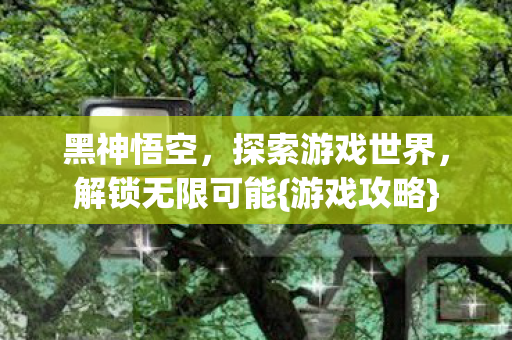 黑神悟空，探索游戏世界，解锁无限可能{游戏攻略}