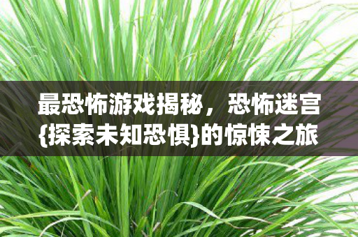 最恐怖游戏揭秘，恐怖迷宫{探索未知恐惧}的惊悚之旅