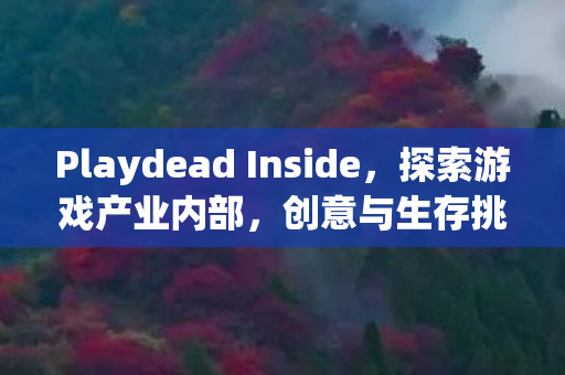 Playdead Inside，探索游戏产业内部，创意与生存挑战全解析