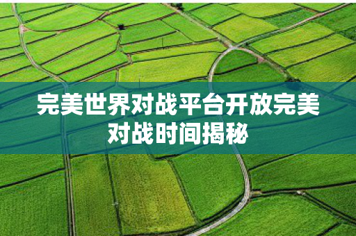 完美世界对战平台开放完美对战时间揭秘图片