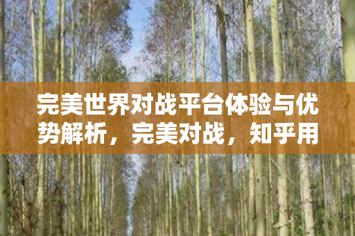 完美世界对战平台体验与优势解析图片