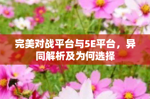 完美对战平台与5E平台图片