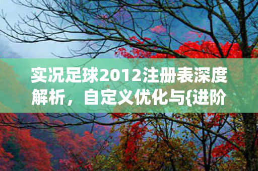 实况足球2012注册表深度解析图片