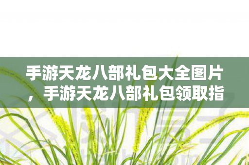 手游天龙八部礼包大全图片,手游天龙八部礼包领取指南,解锁专属福利图片 手游天龙八部礼包大全图片,手游天龙八部礼包领取指南,解锁专属福利图片