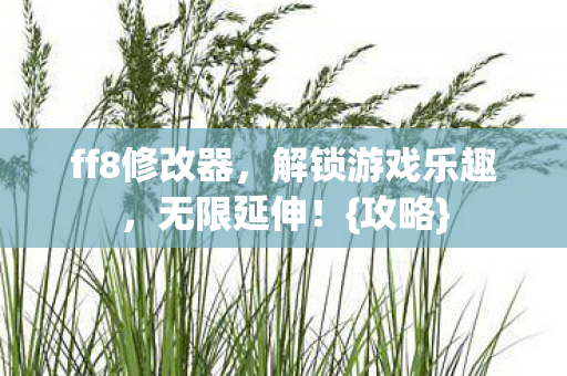 ff8修改器，解锁游戏乐趣，无限延伸！{攻略}