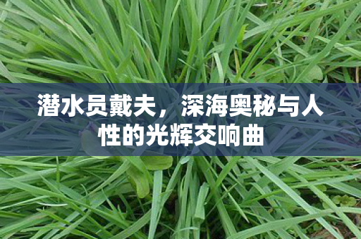 潜水员戴夫,深海奥秘与人性的光辉交响曲 潜水员戴夫,深海奥秘与人性的光辉交响曲