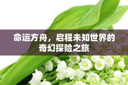 命运方舟,启程未知世界的奇幻探险之旅 命运方舟,启程未知世界的奇幻探险之旅