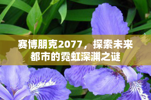 探索未来都市的霓虹深渊之谜图片