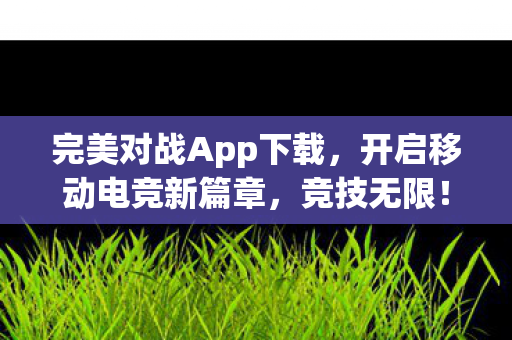 完美对战App下载图片