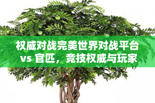 权威对战完美世界对战平台 vs 官匹图片