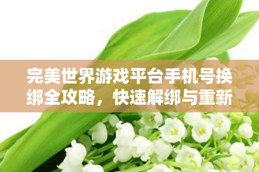 完美世界游戏平台手机号换绑全攻略图片