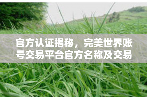 完美世界账号交易平台官方名称及交易安全指南图片