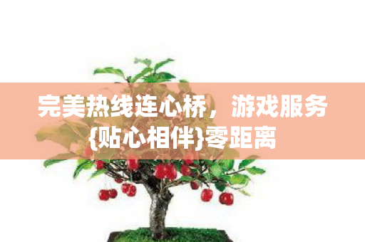 完美热线连心桥图片