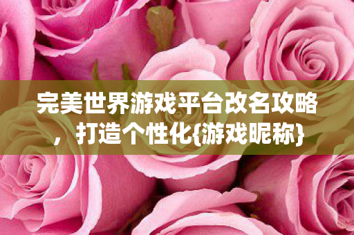 完美世界游戏平台改名攻略图片
