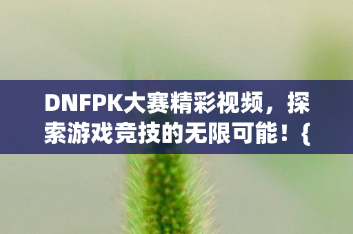 DNFPK大赛精彩视频，探索游戏竞技的无限可能！{精彩瞬间}