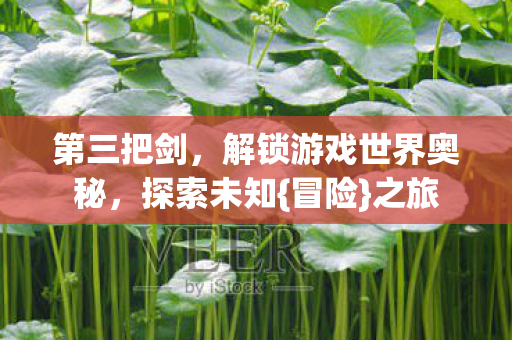 第三把剑,解锁游戏世界奥秘,探索未知{冒险}之旅 第三把剑,解锁游戏世界奥秘,探索未知{冒险}之旅