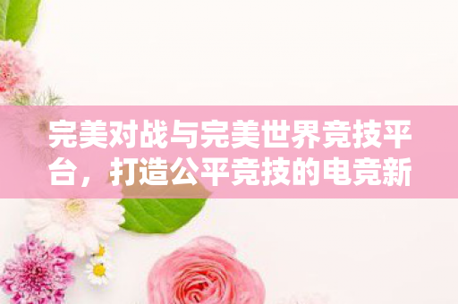 完美对战与完美世界竞技平台图片