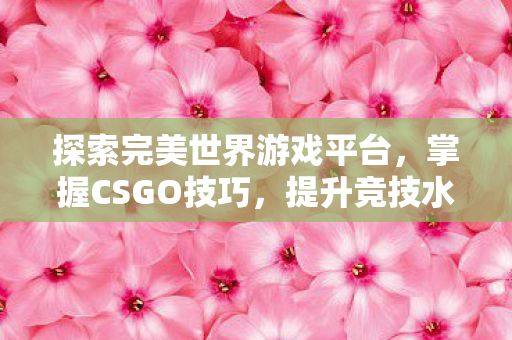 探索完美世界游戏平台图片