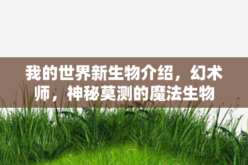 我的世界新生物介绍，幻术师，神秘莫测的魔法生物