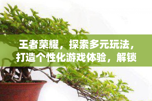王者荣耀，探索多元玩法，打造个性化游戏体验，解锁新英雄{韩信}！