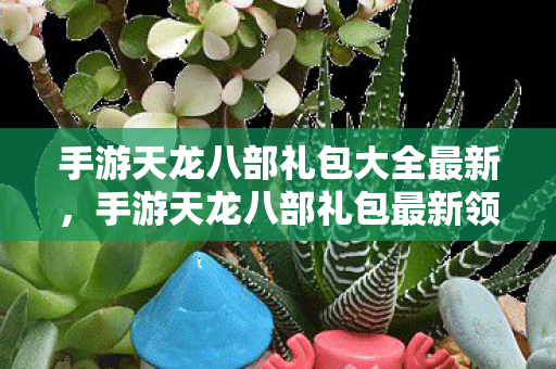 手游天龙八部礼包大全最新，手游天龙八部礼包最新领取指南