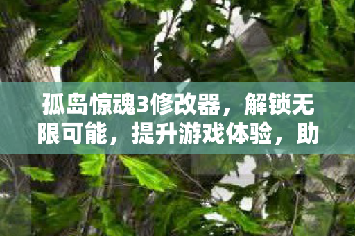 孤岛惊魂3修改器，解锁无限可能，提升游戏体验，助你称霸游戏世界！