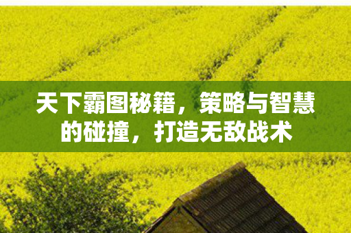 天下霸图秘籍,策略与智慧的碰撞,打造无敌战术 天下霸图秘籍,策略与智慧的碰撞,打造无敌战术