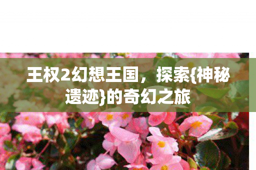 王权2幻想王国图片