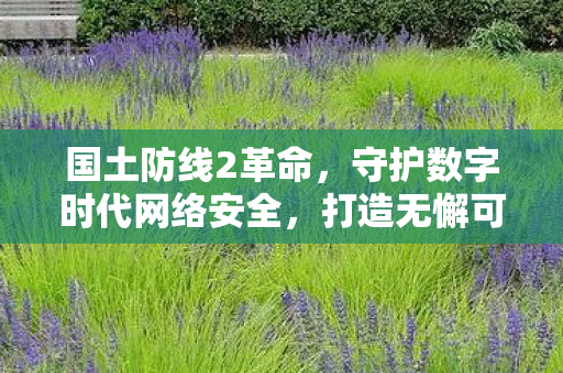 打造无懈可击的网络安全防线图片