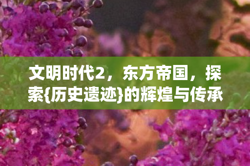 的辉煌与传承图片