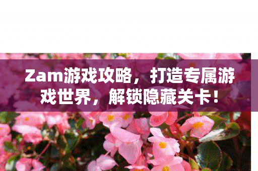 Zam游戏攻略，打造专属游戏世界，解锁隐藏关卡！