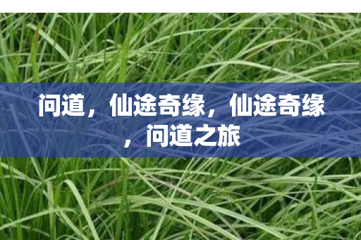 问道,仙途奇缘,仙途奇缘,问道之旅 问道,仙途奇缘,仙途奇缘,问道之旅