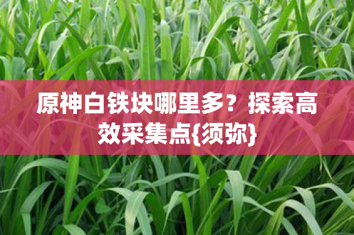 原神白铁块哪里多？探索高效采集点{须弥}