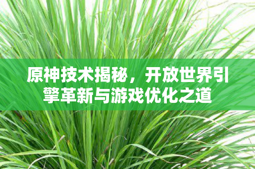 原神技术揭秘，开放世界引擎革新与游戏优化之道
