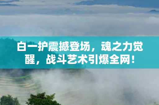 白一护震撼登场,魂之力觉醒,战斗艺术引爆全网! 白一护震撼登场,魂之力觉醒,战斗艺术引爆全网!