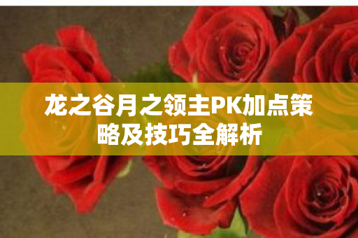 龙之谷月之领主PK加点策略及技巧全解析图片