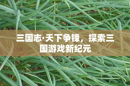 探索三国游戏新纪元图片