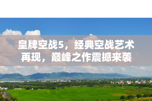 经典空战艺术再现图片