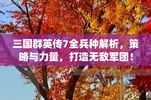 三国群英传7全兵种解析，策略与力量，打造无敌军团！{战术运用}
