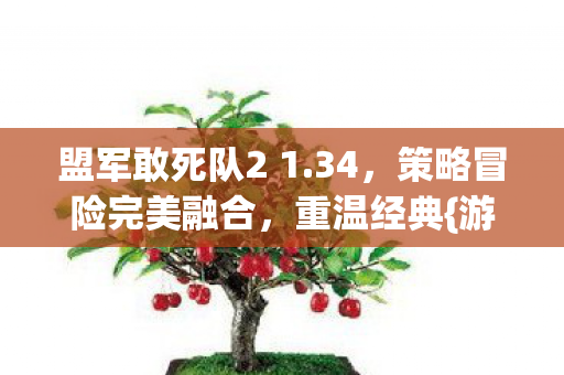 盟军敢死队2 1.34，策略冒险完美融合，重温经典{游戏攻略}