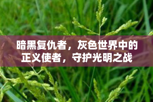 灰色世界中的正义使者图片