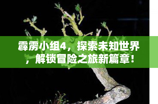 解锁冒险之旅新篇章图片