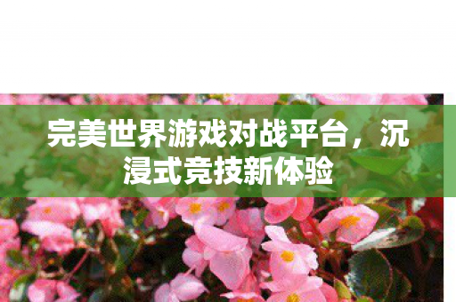 完美世界游戏对战平台图片