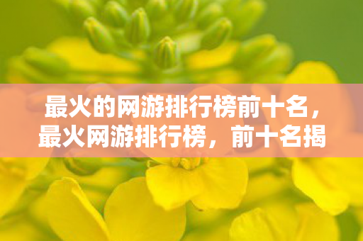 最火的网游排行榜前十名，最火网游排行榜，前十名揭晓！